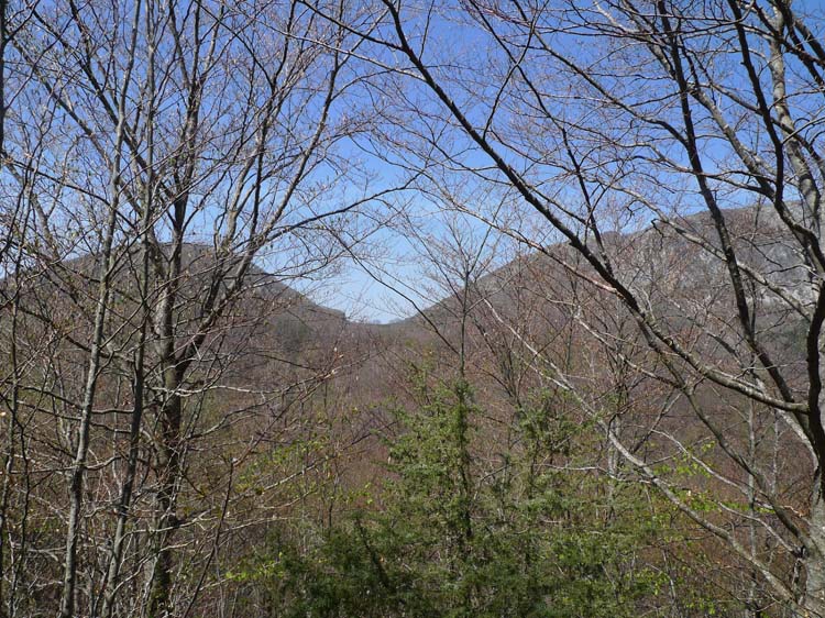 Monte Navegna (01)